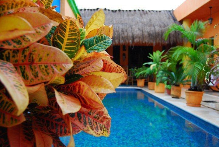 Casita De Maya Boutique Hotel 科苏梅尔 外观 照片